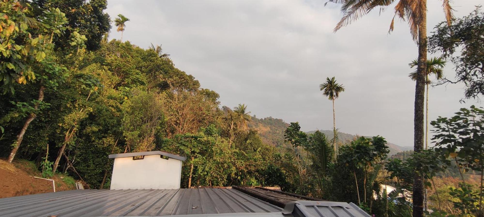 Koonamparayil Home Stay Munnar Anaviratty-Family Only エクステリア 写真