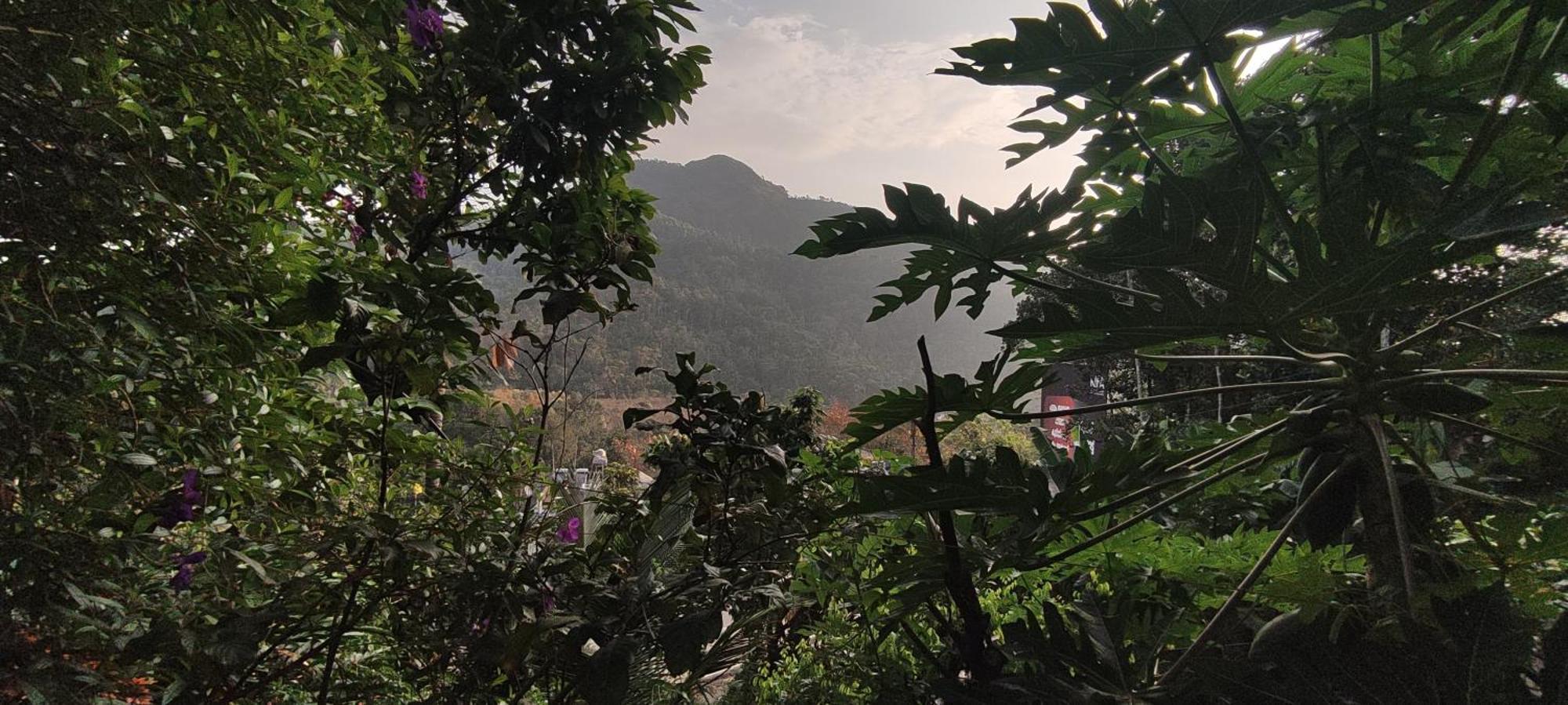 Koonamparayil Home Stay Munnar Anaviratty-Family Only エクステリア 写真