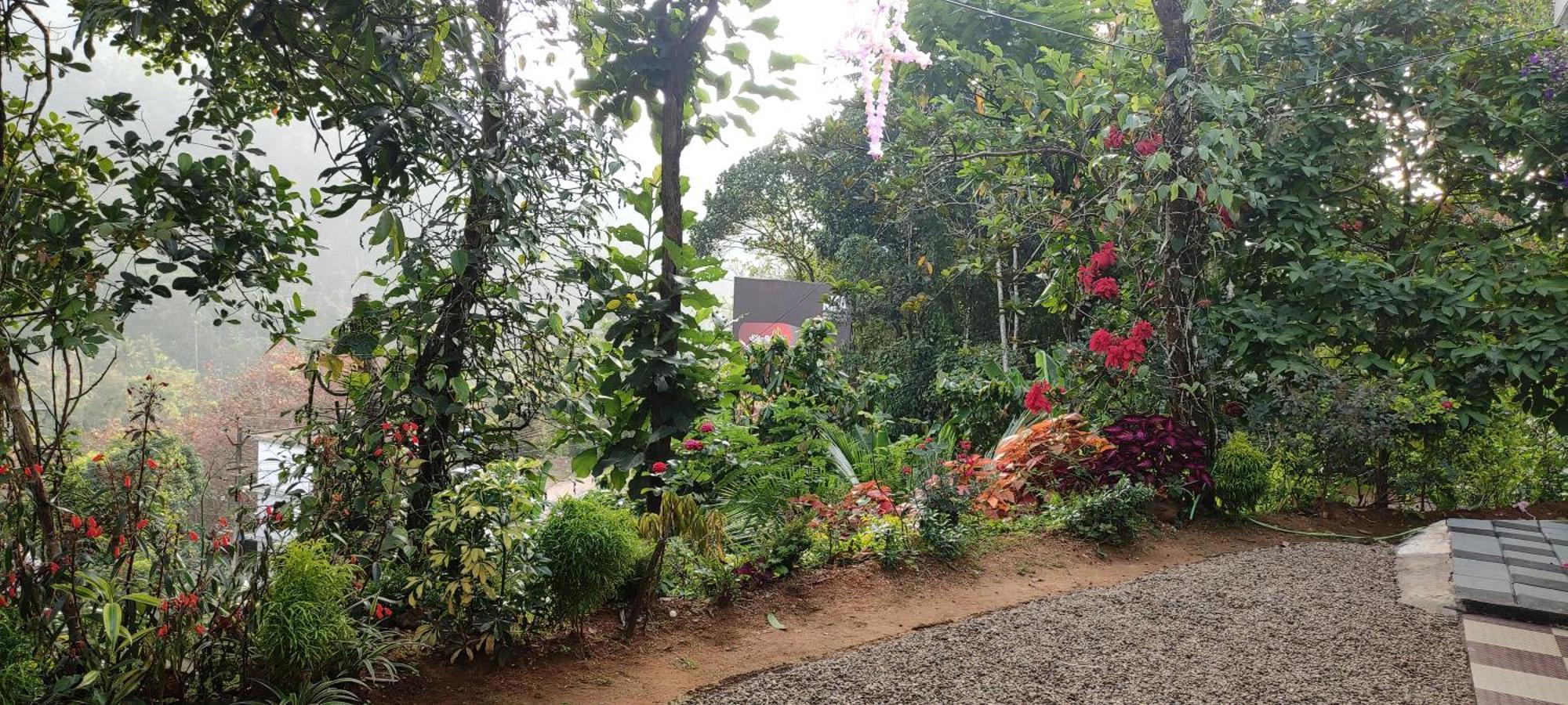 Koonamparayil Home Stay Munnar Anaviratty-Family Only エクステリア 写真