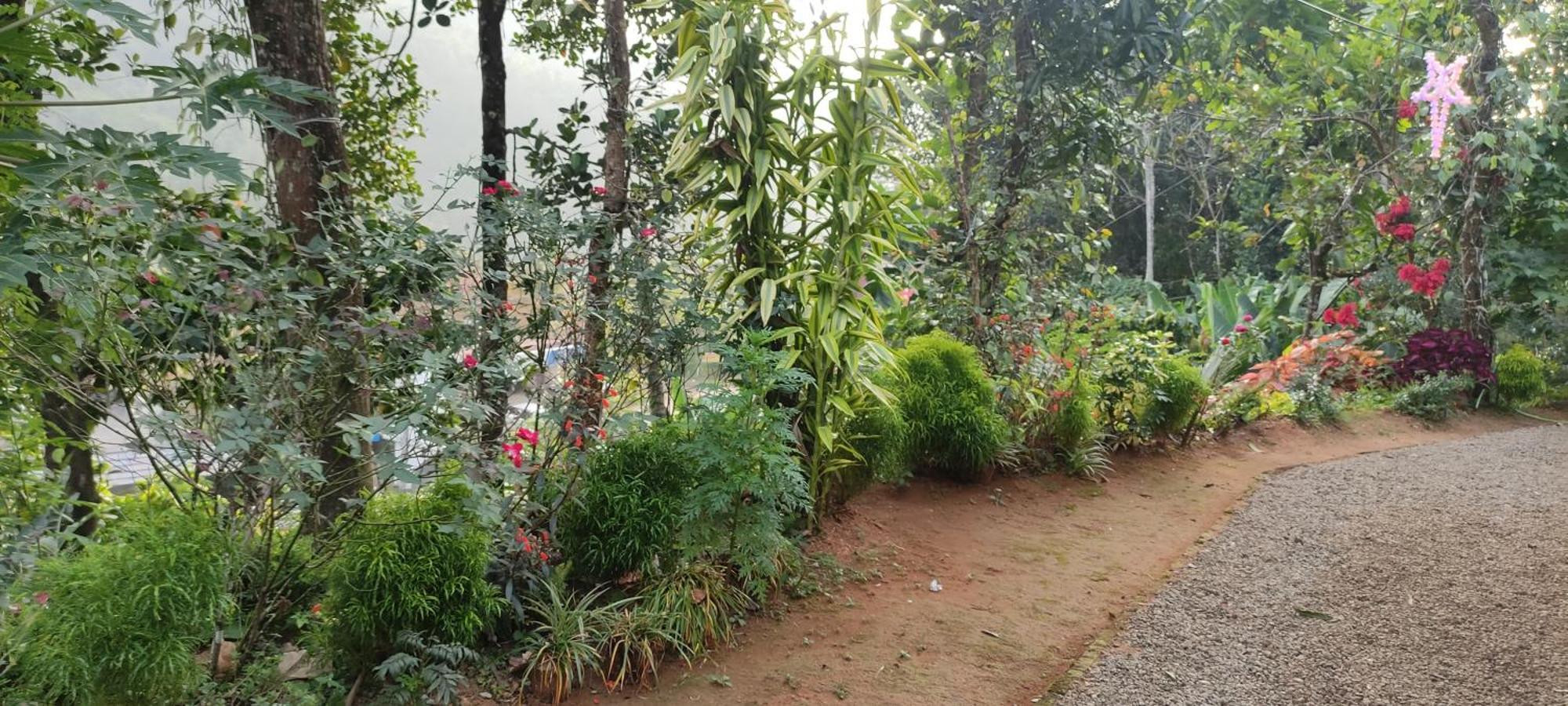 Koonamparayil Home Stay Munnar Anaviratty-Family Only エクステリア 写真