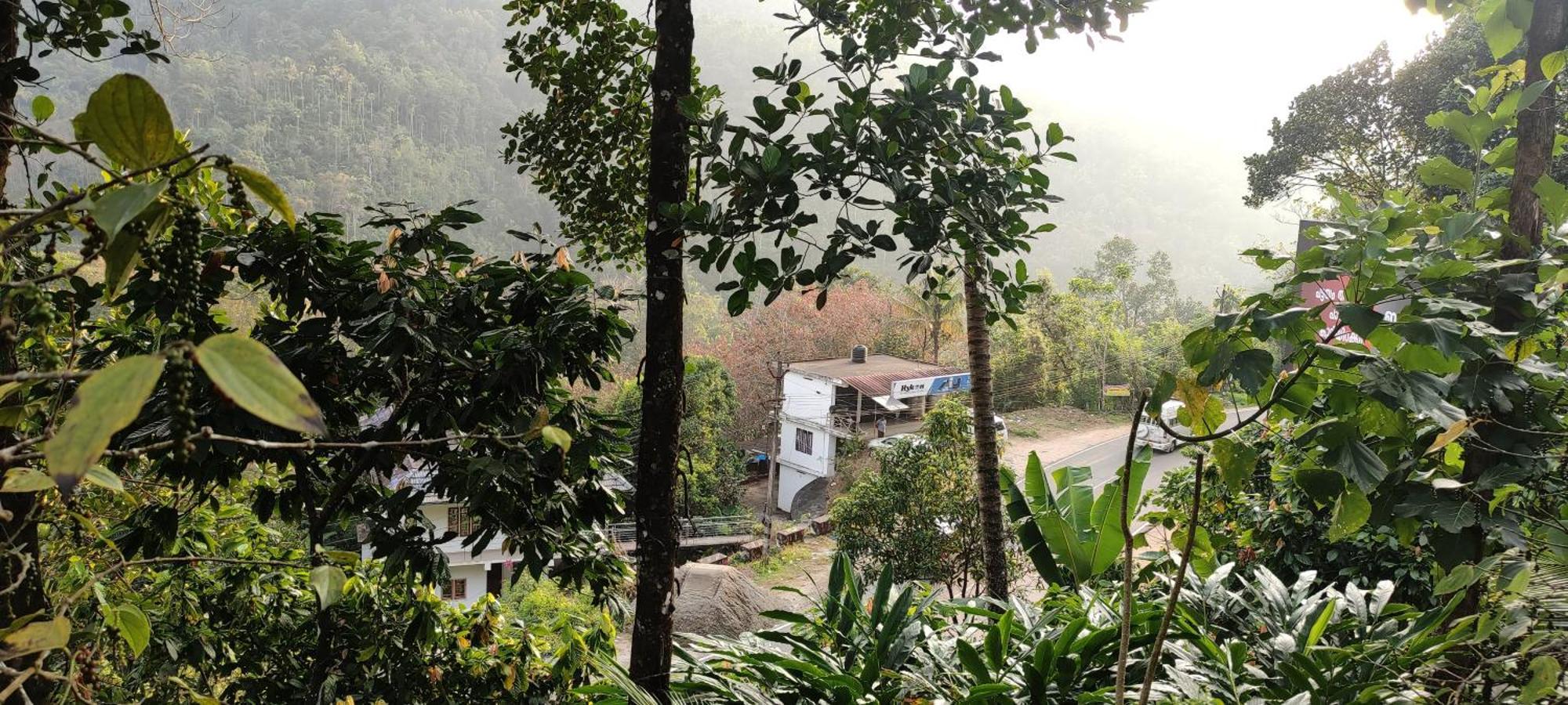Koonamparayil Home Stay Munnar Anaviratty-Family Only エクステリア 写真